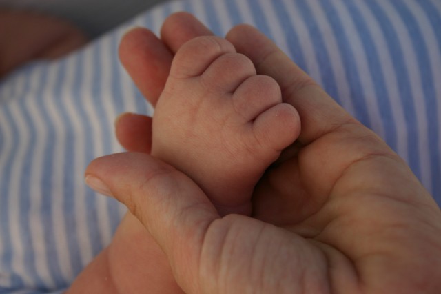 Click for original image 124k 1229x819